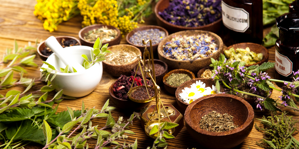 20 Herbs That Can Boost Your Immune System – SerotoninDealer